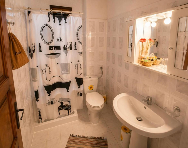 Bathroom 4, Sintrivanis Mountain, Central Macedonia