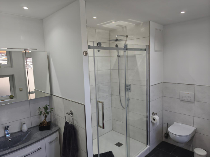 Bathroom 3, Haus Harzland, Harz