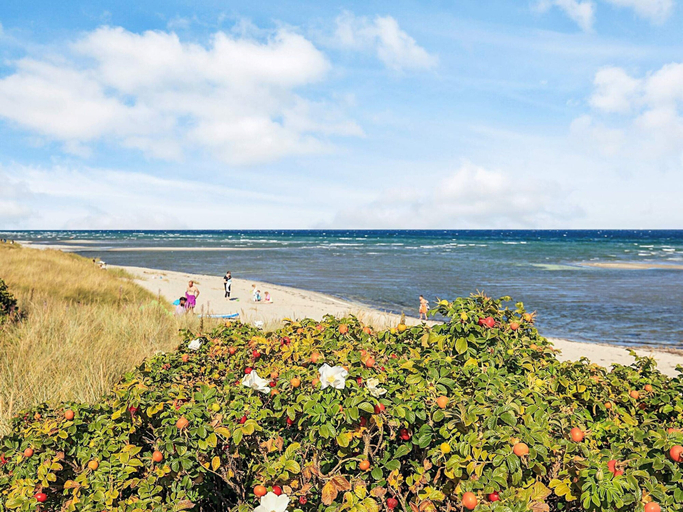 Beach 4, 4 Star Holiday Home in Hals, Aalborg