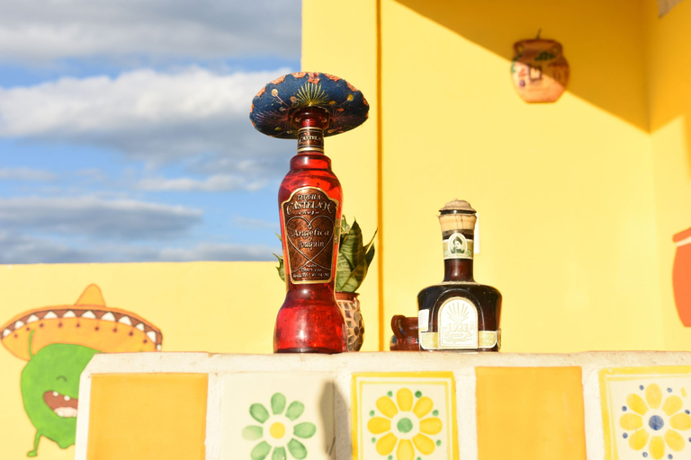 Others 1, Room-cancun Guest House 5, Isla Mujeres