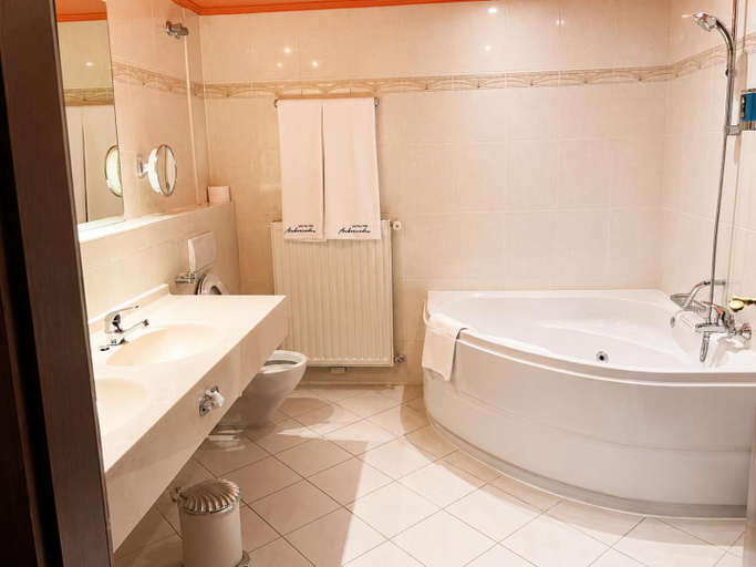 Bathroom 3, Ambassador Hotel Eupen, Liège