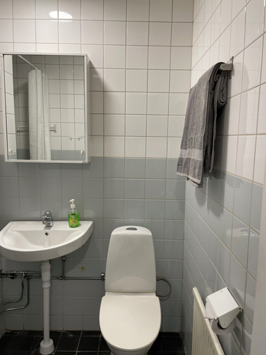 Bathroom 5, Top Tower, Västerås
