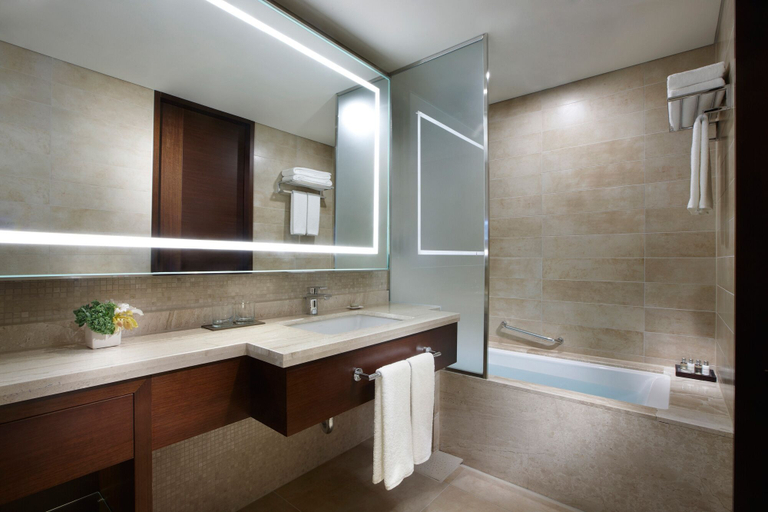 Bathroom 4, LOTTE CITY HOTEL DAEJEON, Daedeok