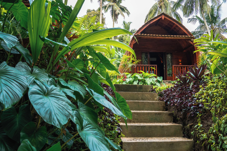 Property grounds 4, Udaka Retreat, Gianyar