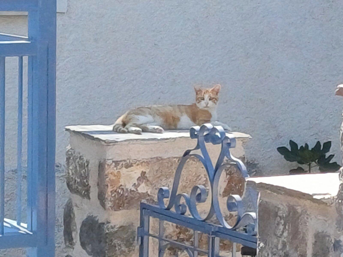 Terrace/patio 3, Theros Poros, Attica
