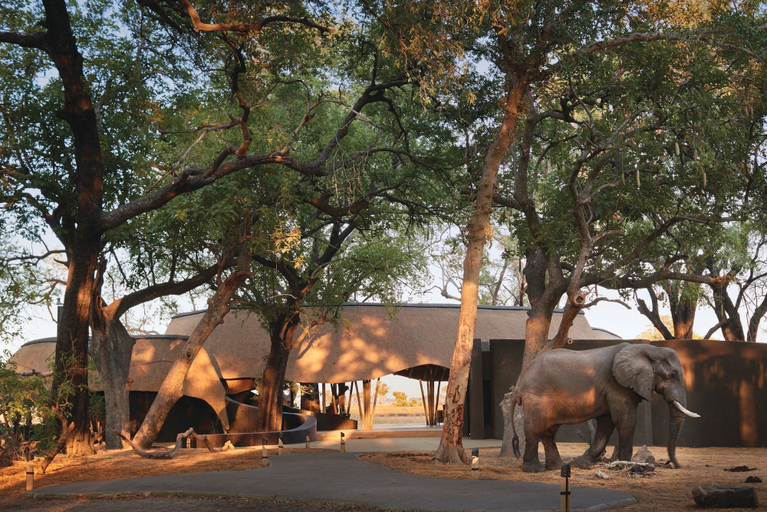 Reception hall, Eagle Island Lodge, A Belmond Safari, Belmond, Ngamiland East