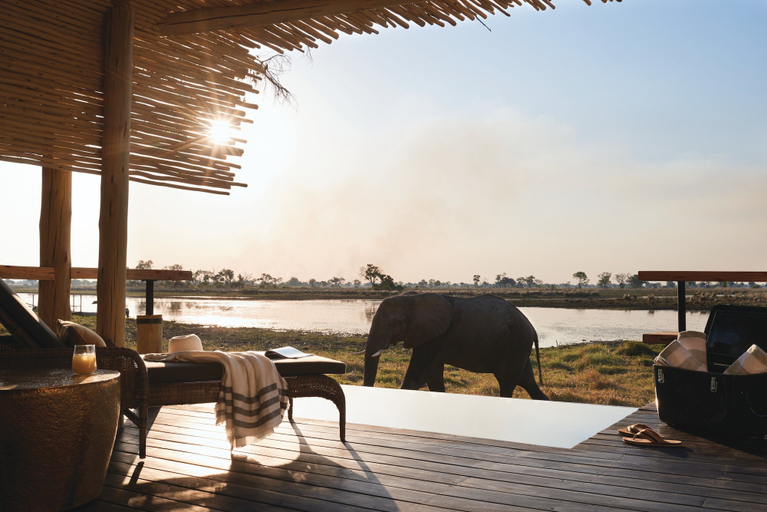 Property grounds, Eagle Island Lodge, A Belmond Safari, Belmond, Ngamiland East