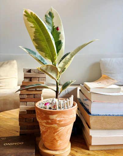 Food & Drinks, Glory Hue Homestay, Huế