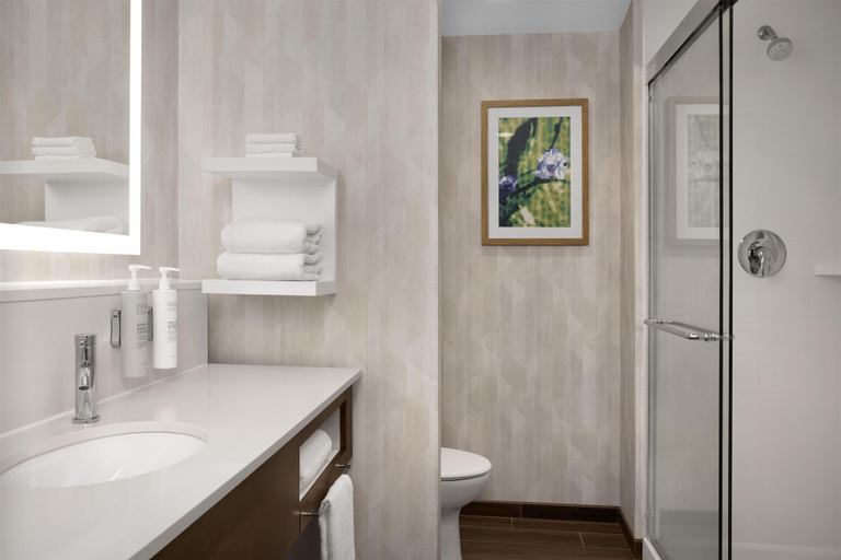 Bathroom 5, Hampton Inn Kernersville, Forsyth