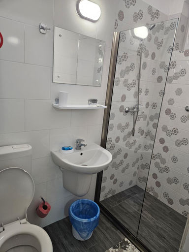 Bathroom 2, Casa Andreea, Tuzla