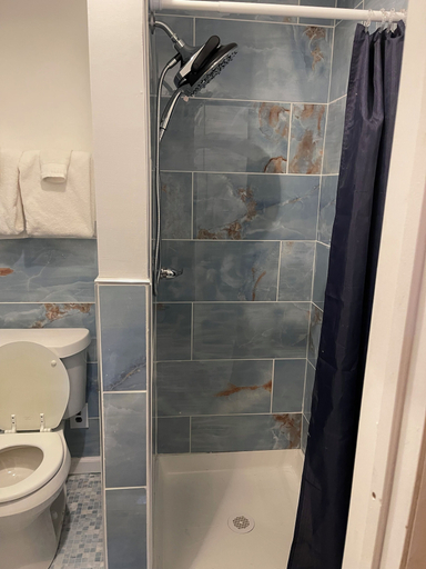 Bathroom 4, Buffalo Guesthouse, Erie