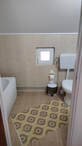 Bathroom 3, Casa Madalina, Sapanta