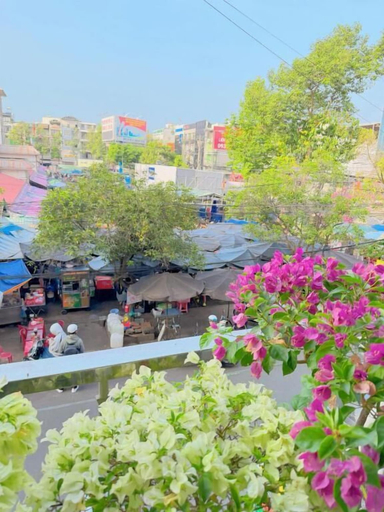 Property grounds, Minihouse 365 holdings Ly Hong Thanh, Ninh Kiều