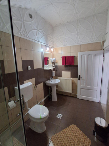 Bathroom 5, Pensiunea Sura, Orastie