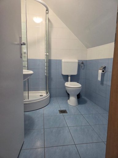 Bathroom 3, Apartmaji Pri Kokolu, Bled