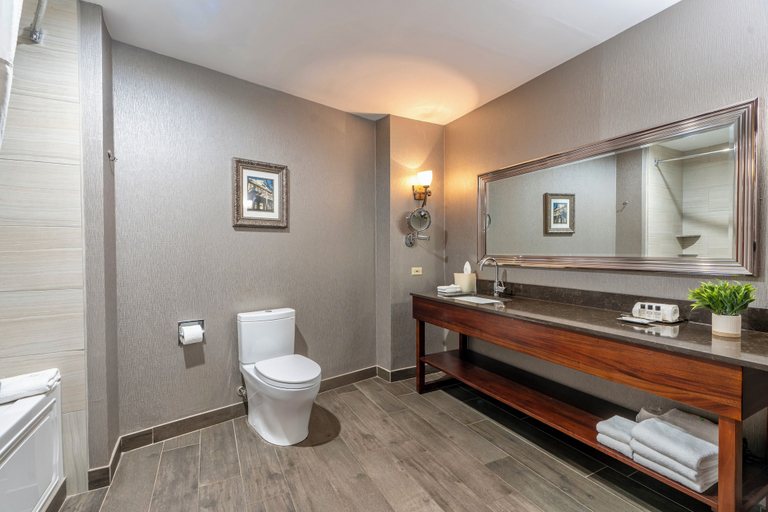Bathroom 4, Wyndham Garden New Orleans Downtown, Orleans