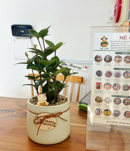 Others 5, Glory Hue Homestay, Huế