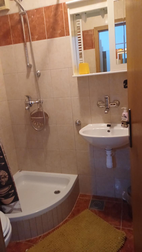 Bathroom 4, Apartments Bakuk, Stari Grad