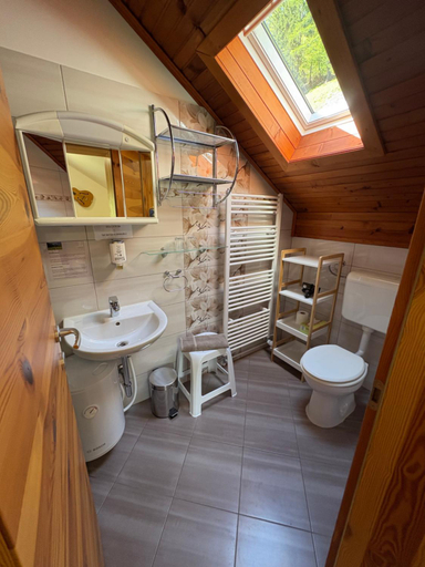 Bathroom, Turisticna kmetija Cercek, Solcava