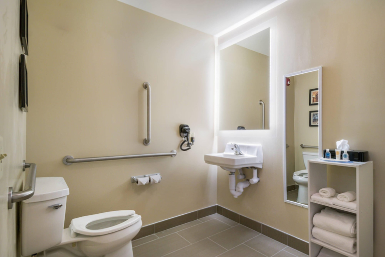 Bathroom 4, Comfort Inn & Suites Harrisburg - Hershey West, Dauphin