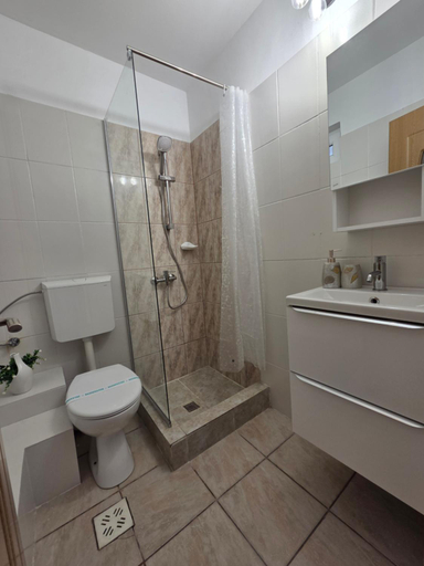 Bathroom 5, Casa Antonia, Costinesti