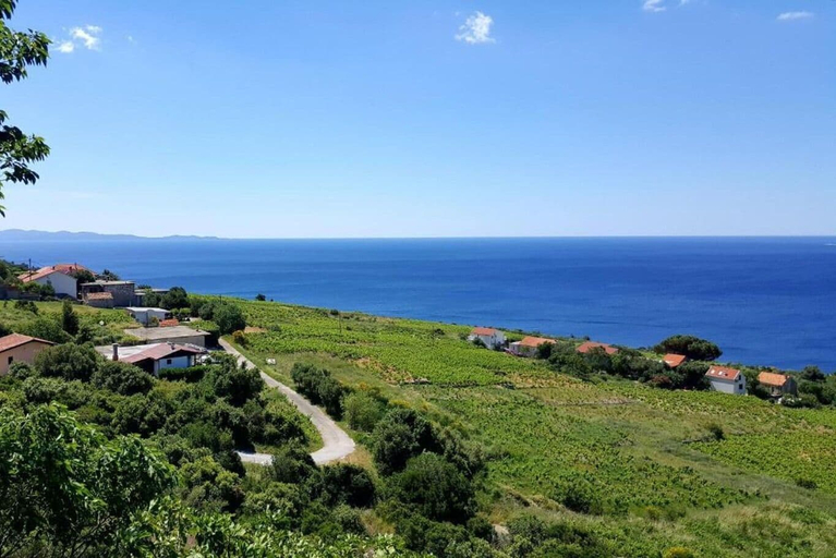 Aerial view 2, House Noa, Orebić