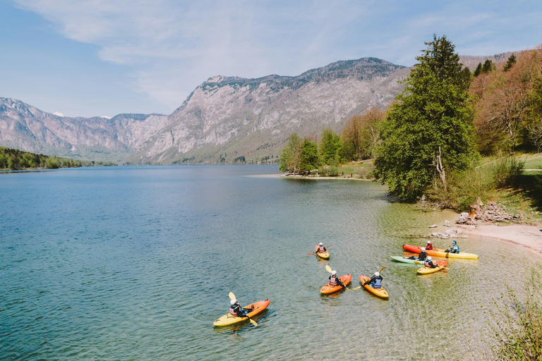 Facilities 2, Alpine Chalet Metka at Lake Bohinj - Happy Rentals, Bohinj