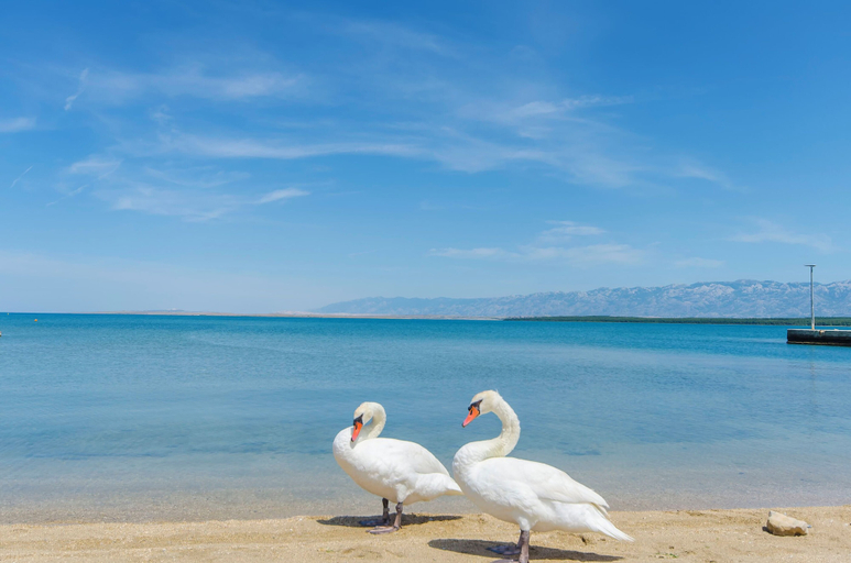 Beach 5, Apartments Mirjana, Nin