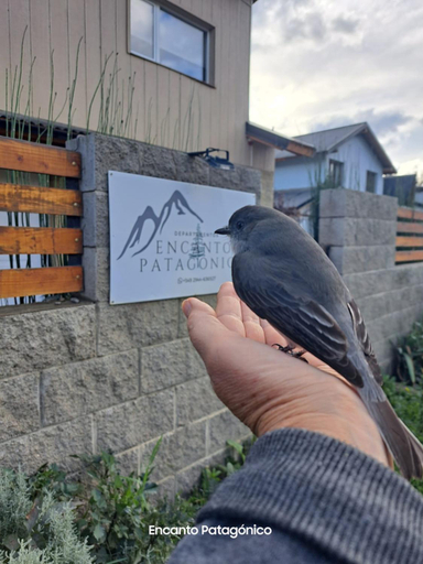 4, Encanto Patagonico, Bariloche