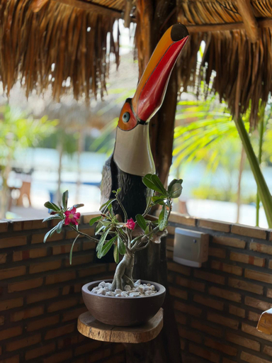 Food & Drinks 3, Pousada Marina, Barreirinhas