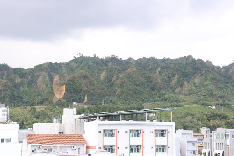 Others 5, Flora Essence Inn, Taitung