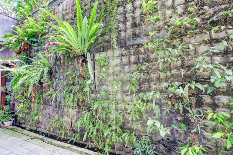 Public Area 5, Collection O Bali Near Sanur Beach, Denpasar