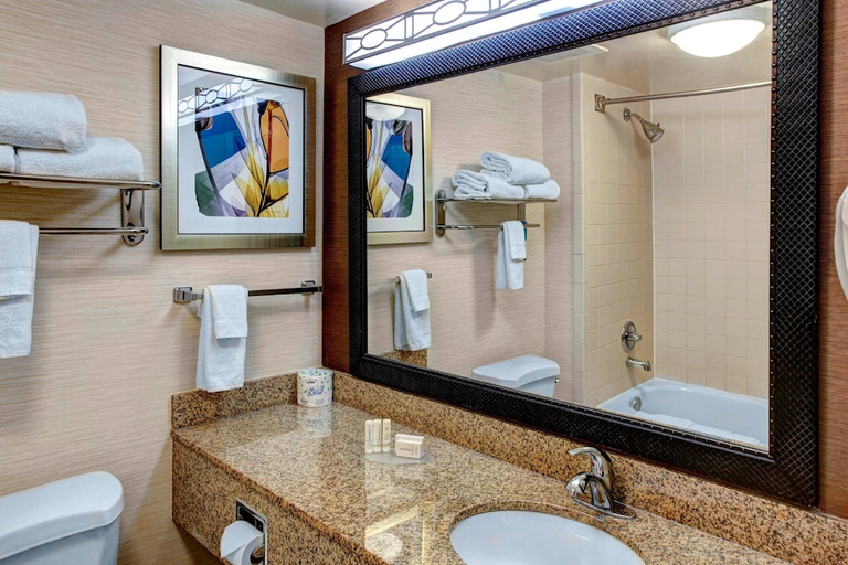 Bathroom 4, Fairfield by Marriott Inn & Suites Anniston Oxford, Calhoun