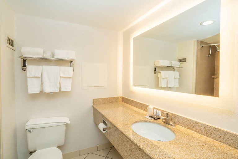 Bathroom 4, Elimwood Hotel, a Ramada by Wyndham, Saint Louis