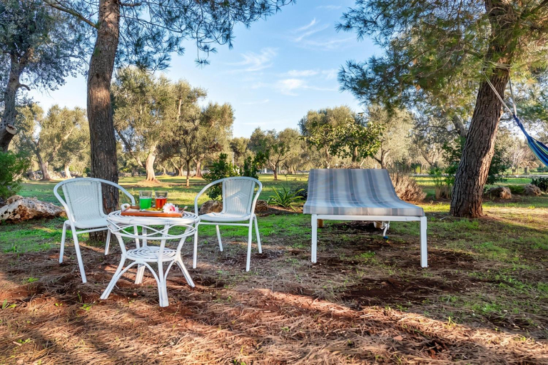 Others 3, Trullo Delle Ginestre Private Pool - Happy Rentals, Brindisi