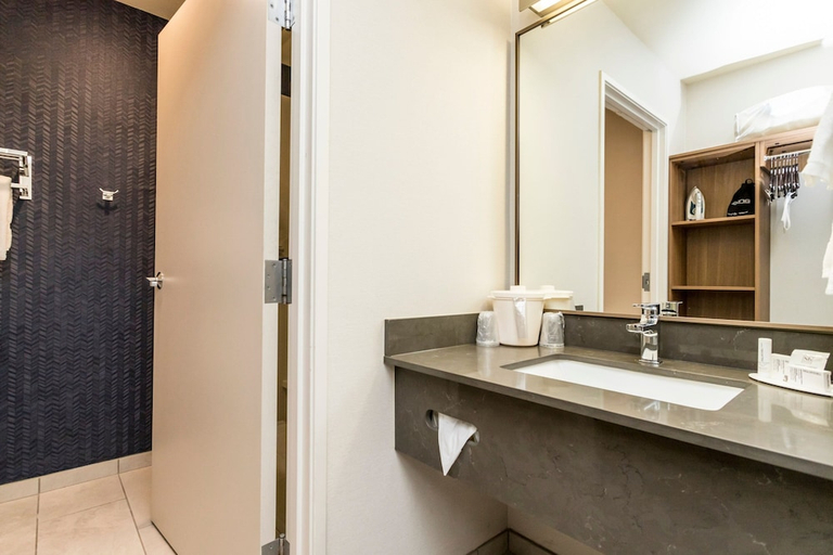 Bathroom 5, Fairfield Inn By Marriott St George, Washington