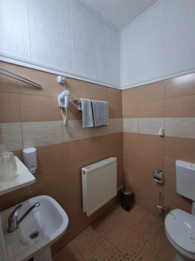 Bathroom 5, Pensiunea Sura, Orastie