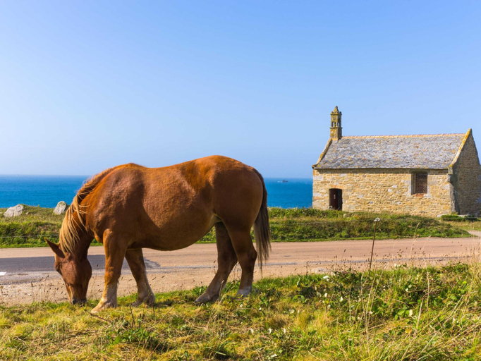 View from property 5, Holiday Home by Lampaul Beach With Garden, Finistère