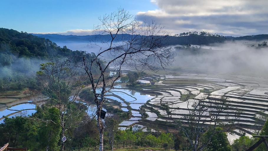 Others 4, Konke Ruộng Farmstay, Kon Plông