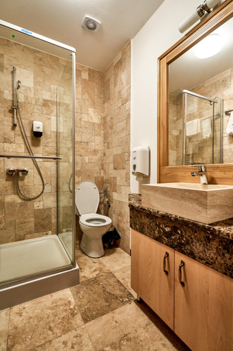 Bathroom, PENSIUNE RESTAURANT CAPRA NEAGRA, Moisei