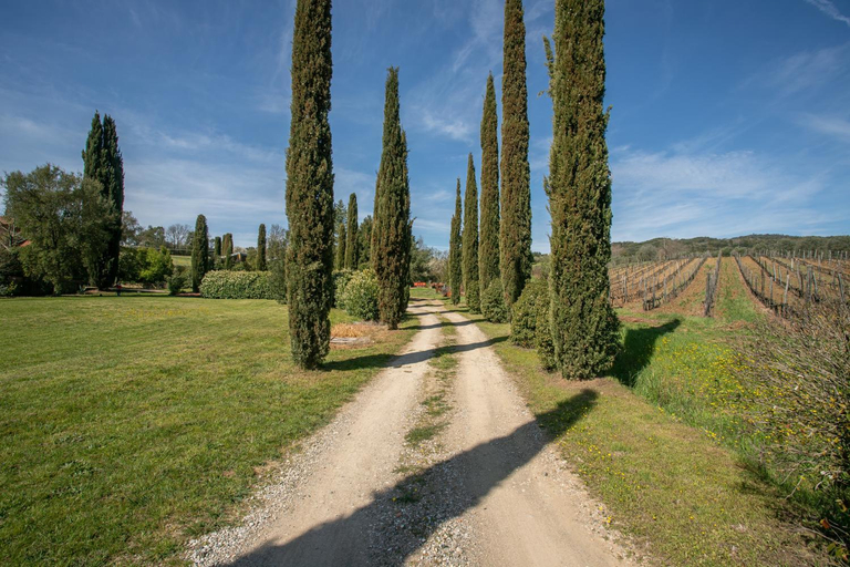 Others 4, Lucente, Grosseto