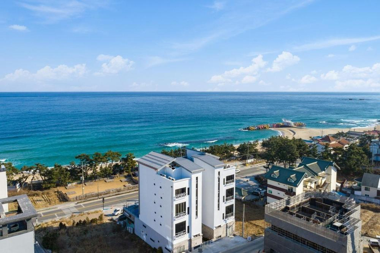 Others 5, Gangneung Merview Oceanview Spapension, Gangneung