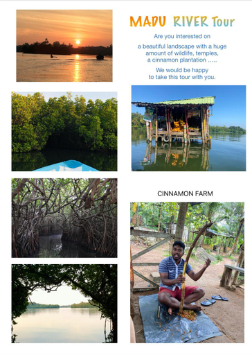 Others 5, Sri Palms, Balapitiya