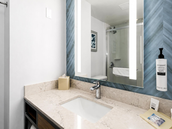 Bathroom 4, Hilton Garden Inn Ithaca, Tompkins