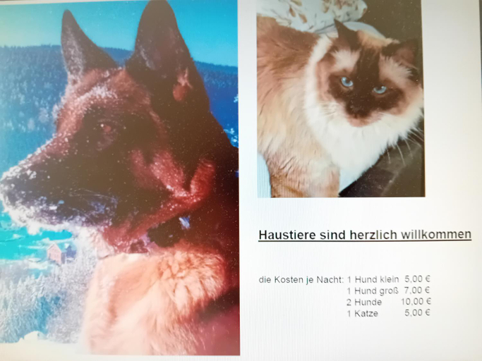 Others 4, Ferienwohnung mit Garten und Spielplatz, Vogtlandkreis