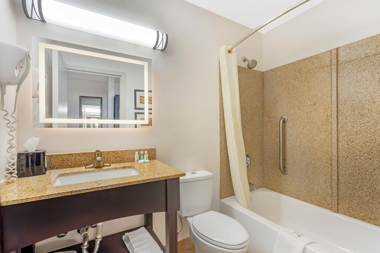 Bathroom 4, Quality Inn & Suites Chattanooga-East Ridge, Hamilton
