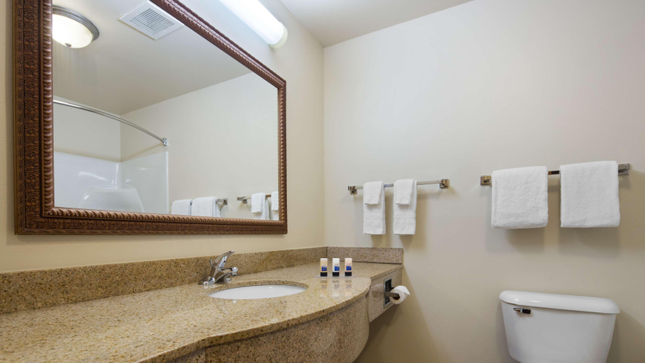 Bathroom 4, Bw Legacy Inn & Suites Beloit-South Beloit, Winnebago