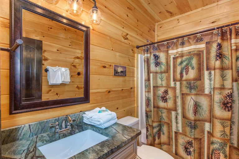 Bathroom 4, The Great Dogwood Manor, Sevier