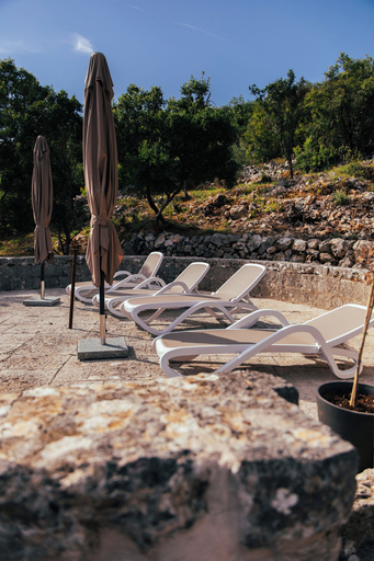 Property grounds 3, Heritage House Strahinja