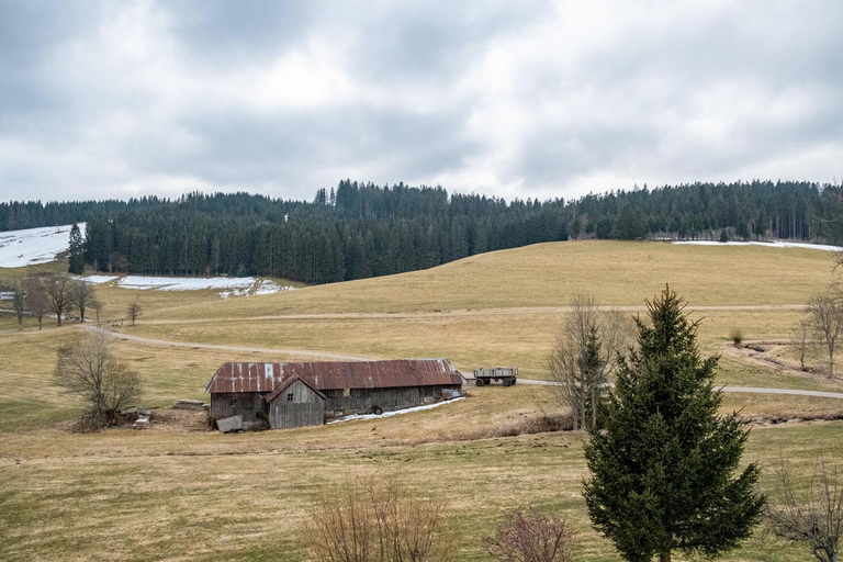 Others 4, Ferienhaus Kaltenbach, Breisgau-Hochschwarzwald